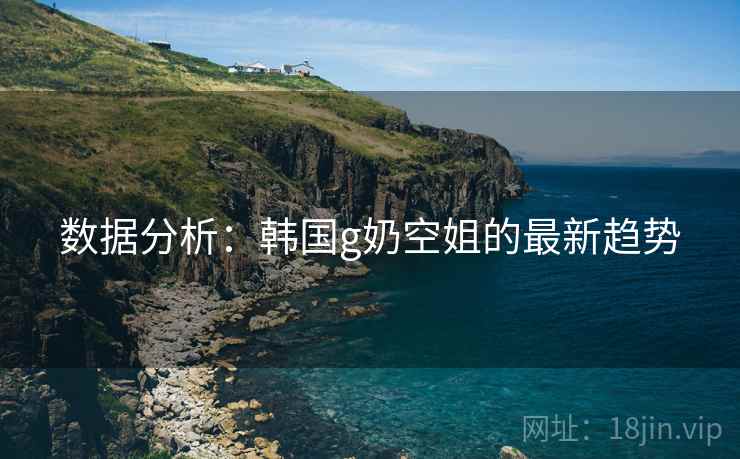 数据分析:韩国g奶空姐的最新趋势