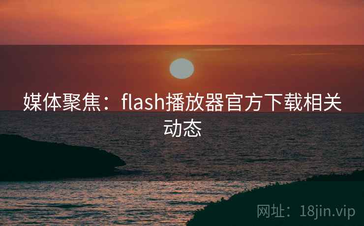 媒体聚焦:flash播放器官方下载相关动态