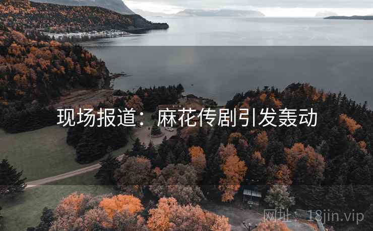 现场报道:麻花传剧引发轰动